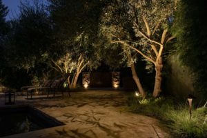 Illuminazione Ulivi